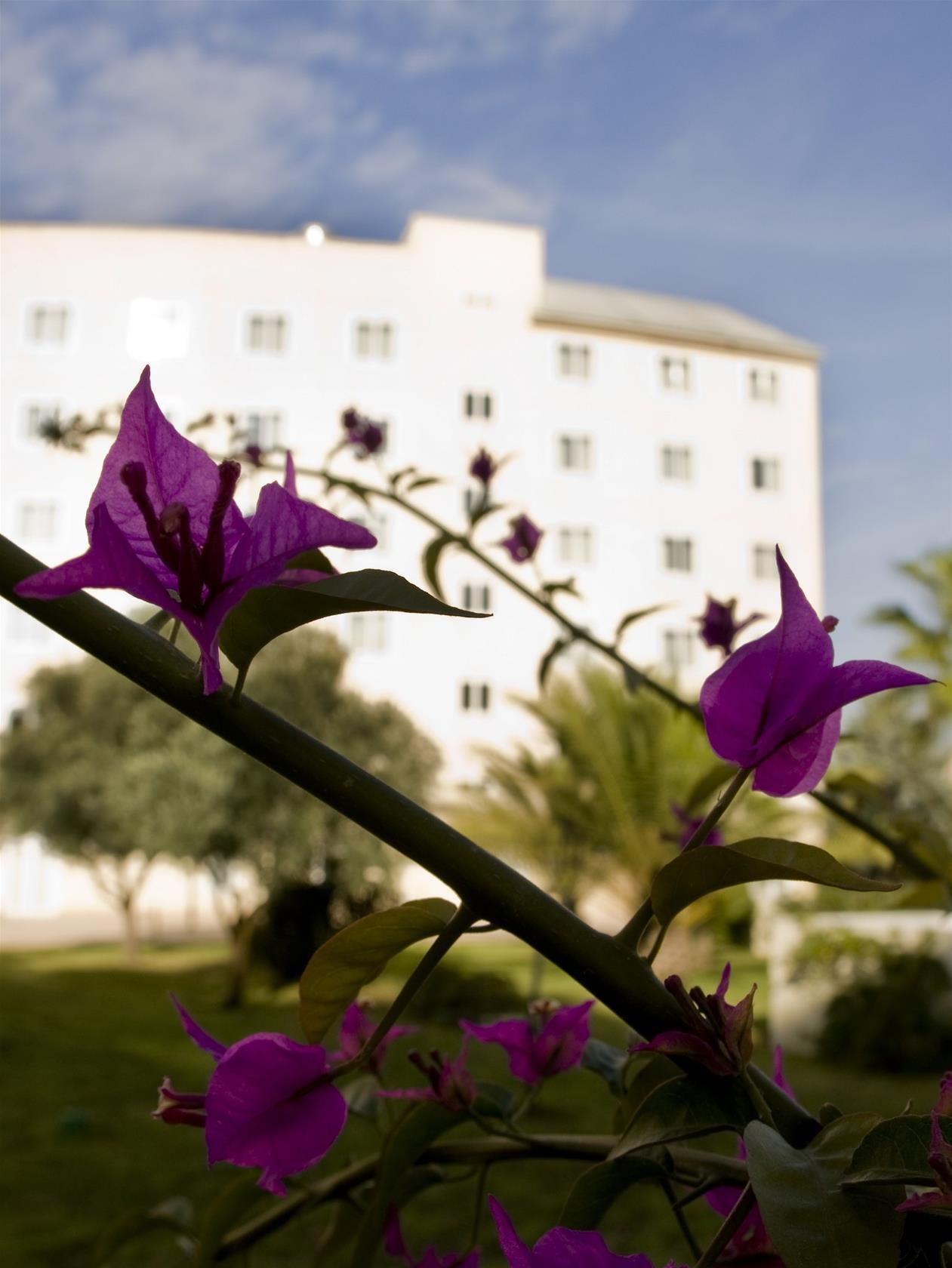 B&B Hotel Valencia Ciudad De Las Ciencias Kültér fotó